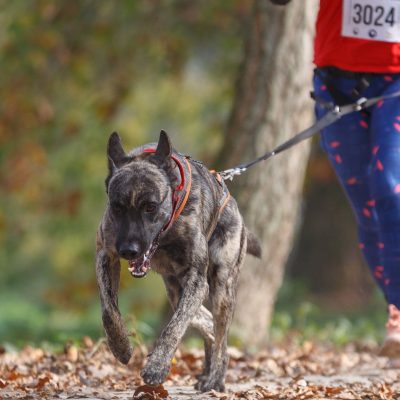 Aernout Kaiannco "Cooper"