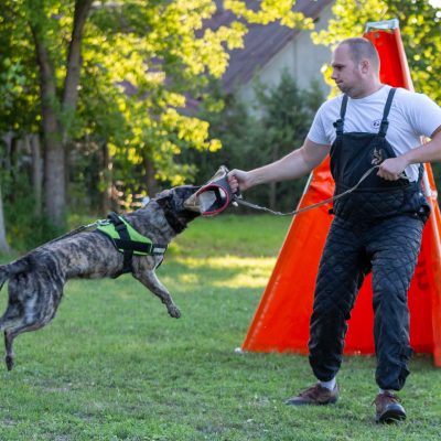 Aernout Kaiannco "Cooper"