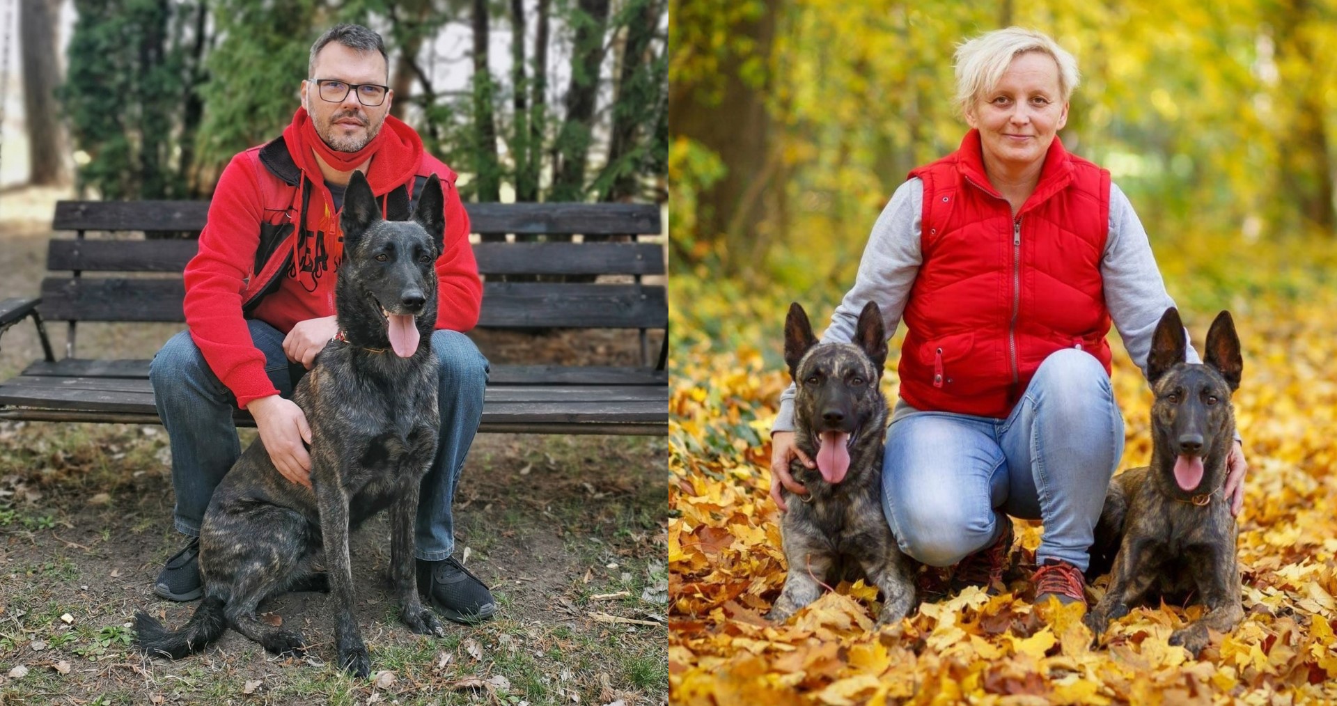 Bahama Black Beck Herders - Aernout Kaiannco Bahama Black Beck Herders - Aernout Kaiannco