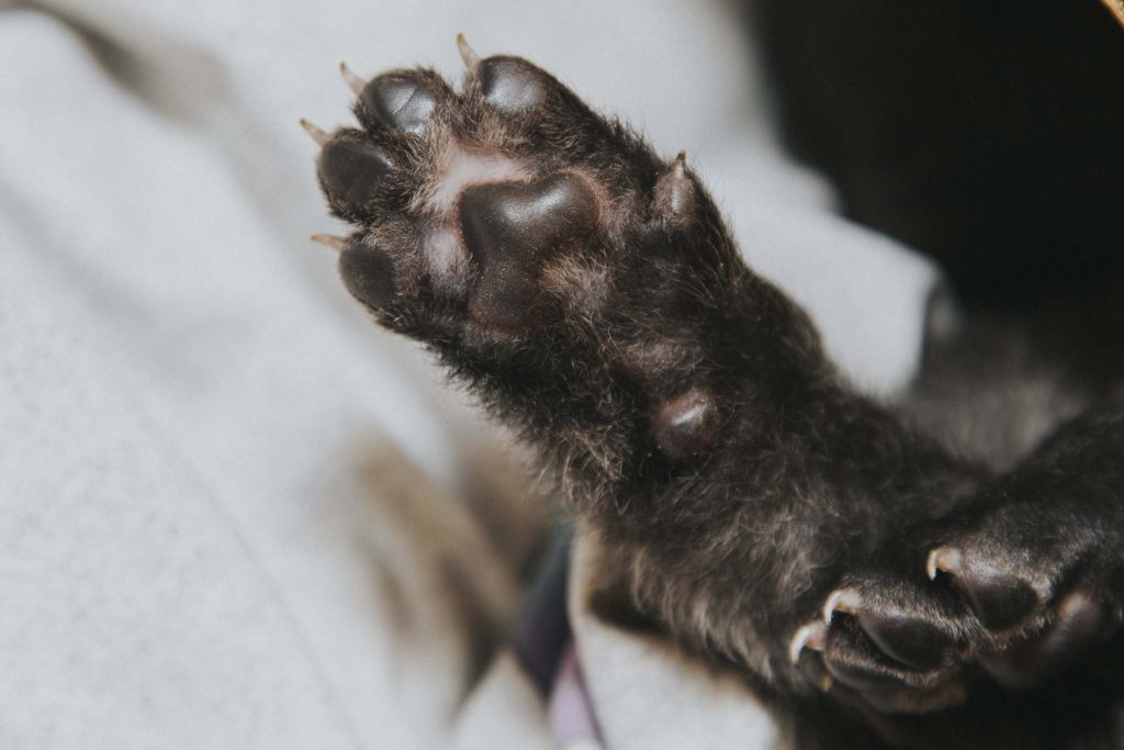 DSC0226 Az első 3 hét