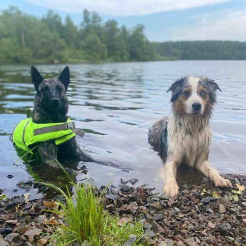 292559992_588264112878031_7757062800753880915_n (1)