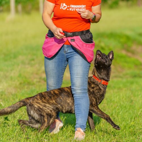 _KNO3584 (Large) (1)