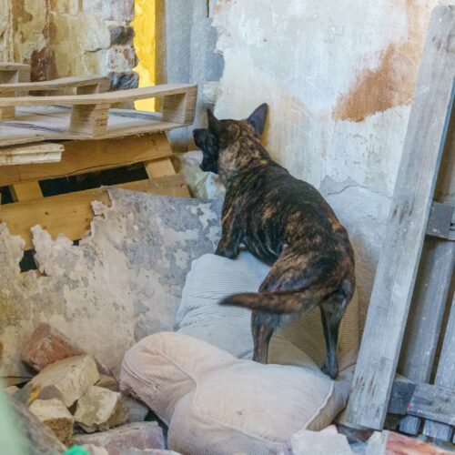 _KNO5824 (Large) (1)