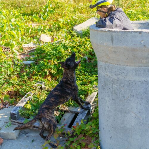 _KNO6212 (Large) (1)