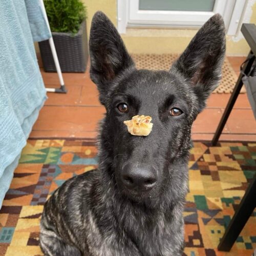 Screenshot_20220730_213723_com.facebook.orca_edit_102017215493286